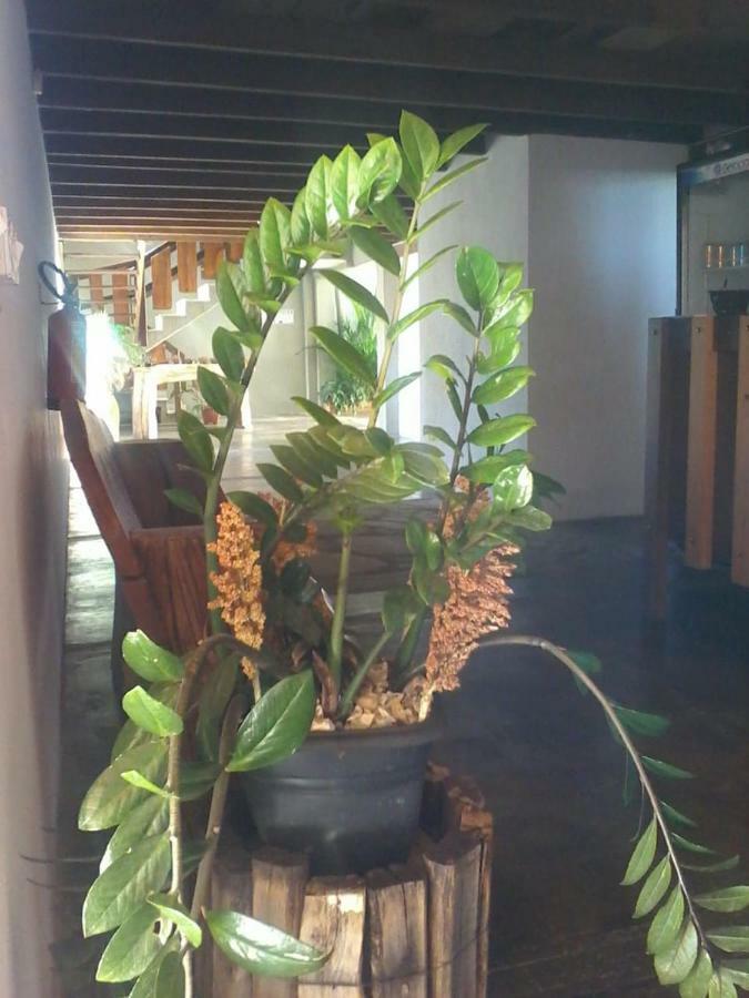 Pouso D' Braga Hotel Pirenópolis Kültér fotó